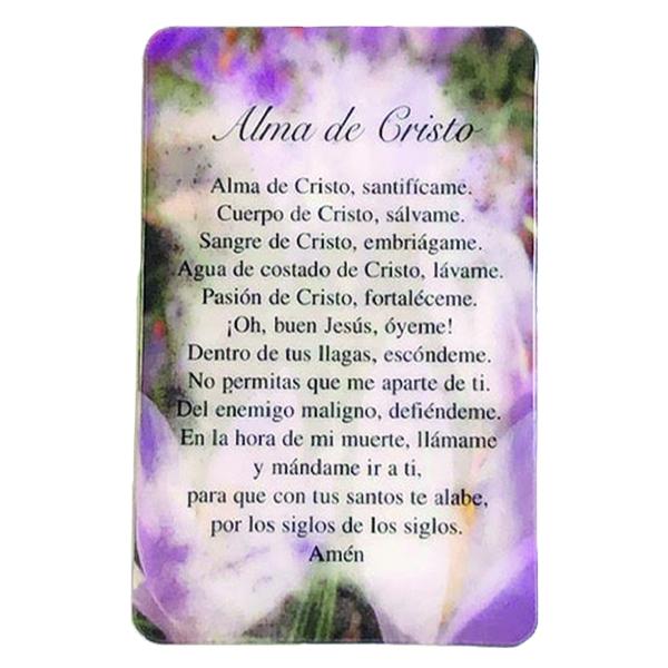 Spanish Laminated Prayer Card - Alma de Cristo